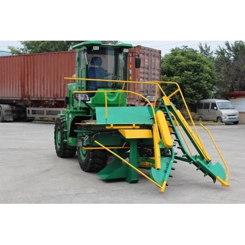 Cane cutting machine 2025